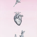 “Begin Again,” by Autumn Hunnicutt