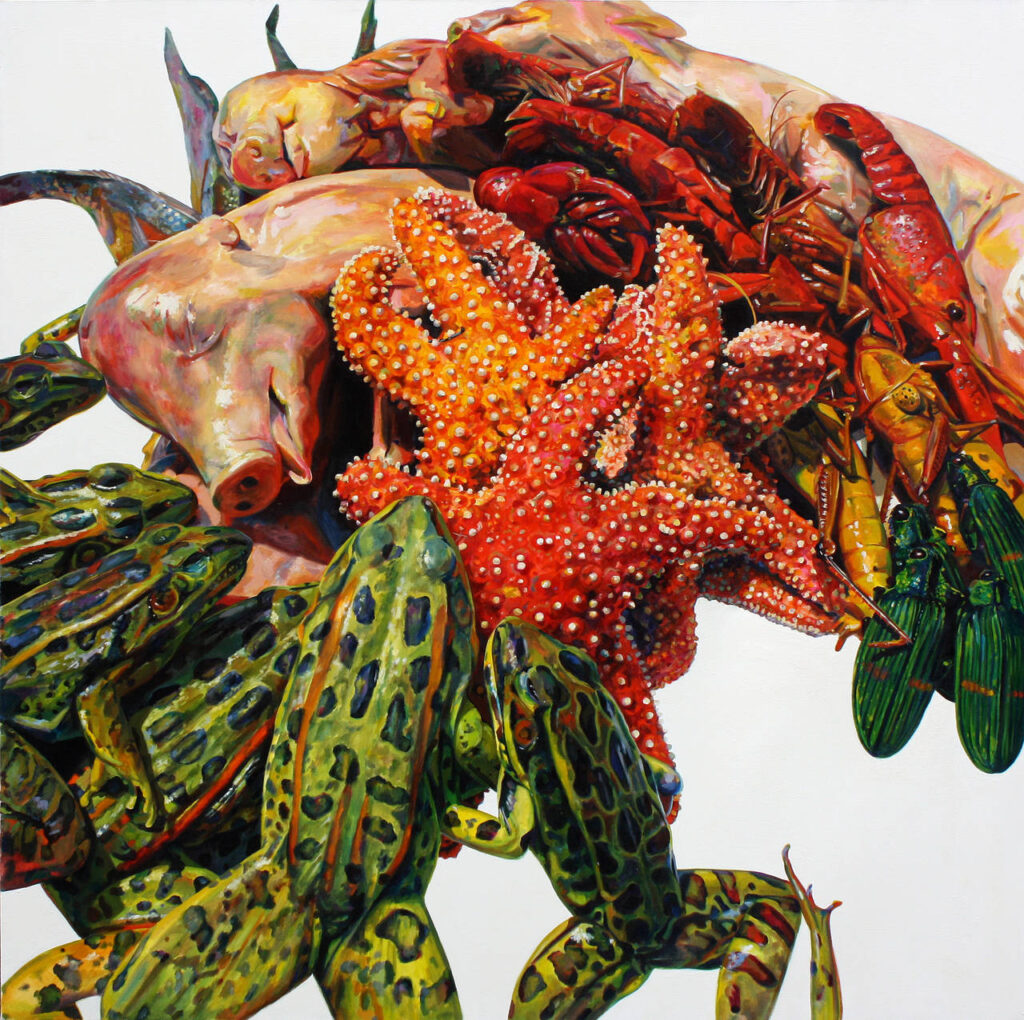 A collage of starfish, frogs, and pigs.